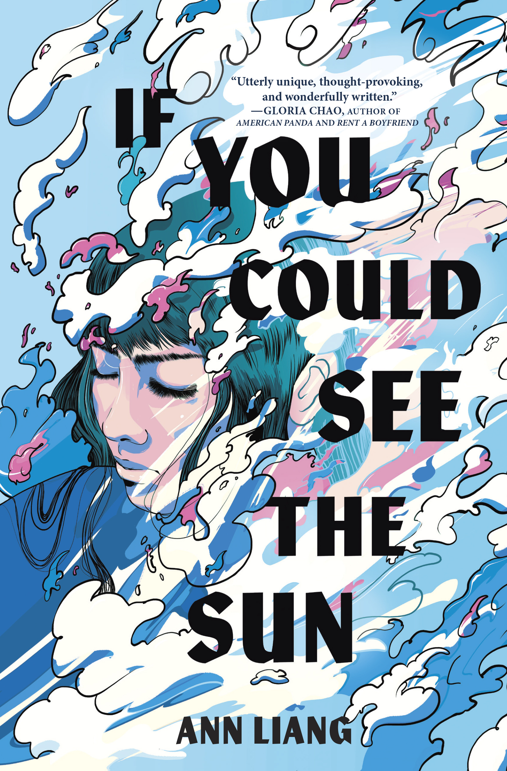 Cover of If you could see the sun